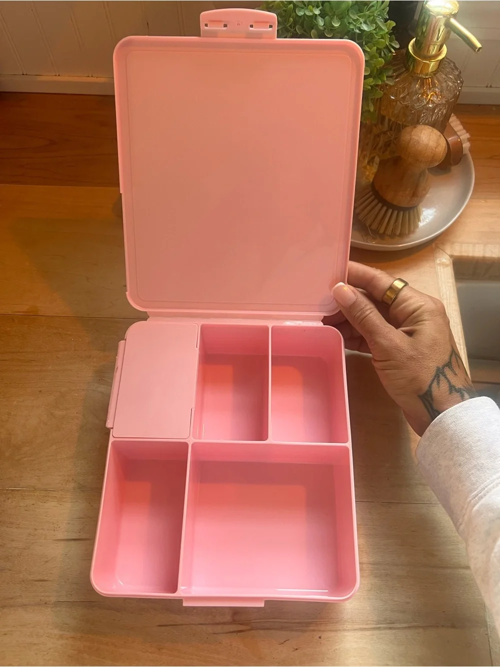Pottery Barn Kids Pink Compartment Lunch & Snack Box